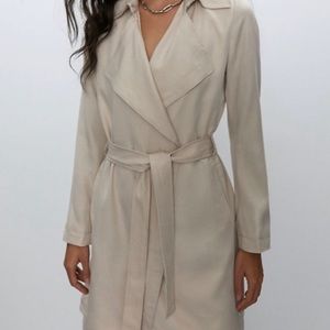 Aritzia Babaton Maximo Trench Coat
